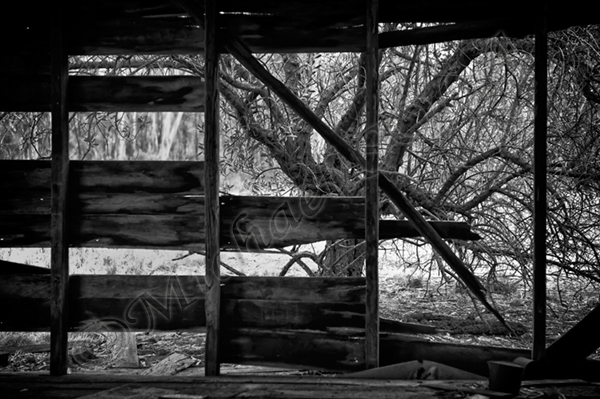 © Smike Photography by Michael Sola - All Rights Reserved